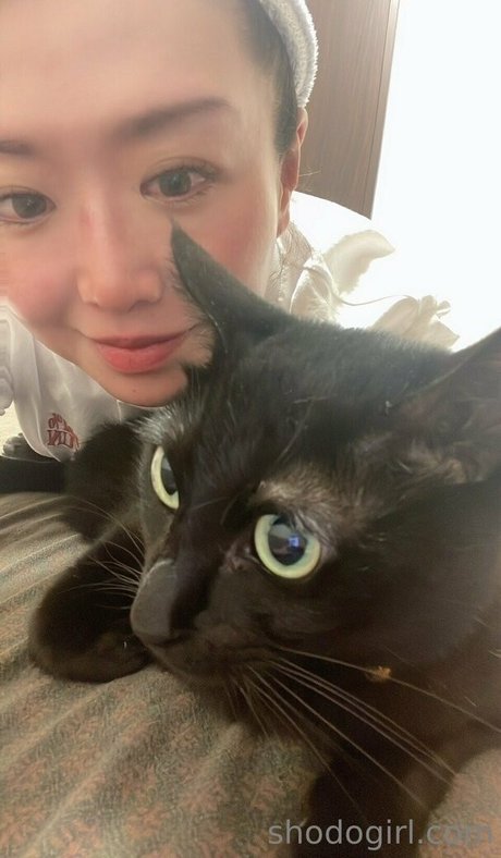 shodogirl pornstar exclusive img