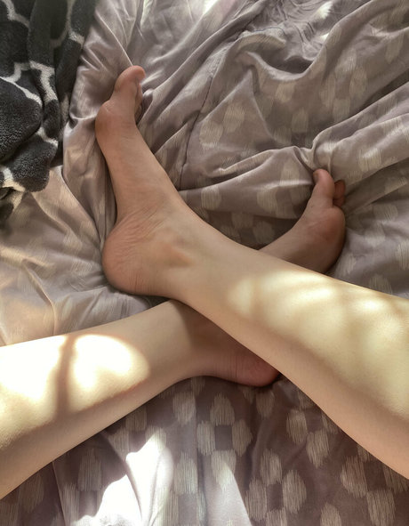 blissfulellie nice star galleries