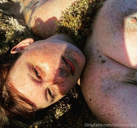 stickymickey star adult image