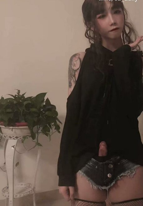 shiliuyelei Photo Gallery