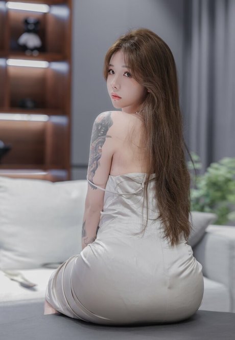 shiliuyelei model top img