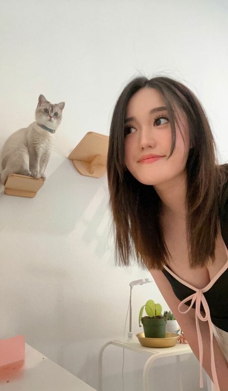 AngelsKimi beautiful star galleries