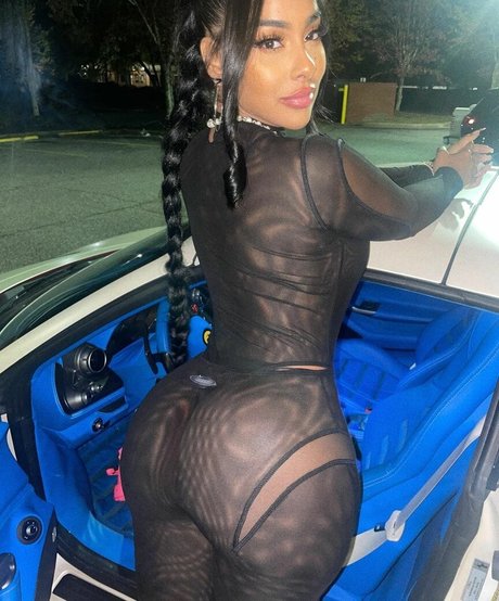 Ayisha Diaz art model image