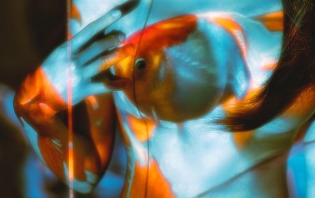 asmr xxx onlyfans free porn images