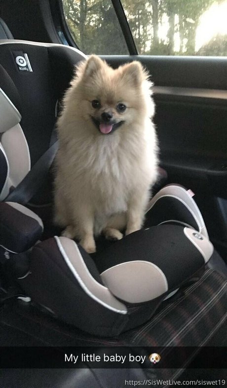 big tits mature onlyfans free porn image