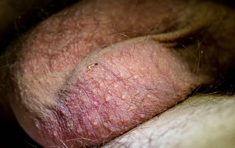 pregnant threesome onlyfans erotic photo