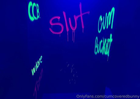 bunnycovered perfect star picture