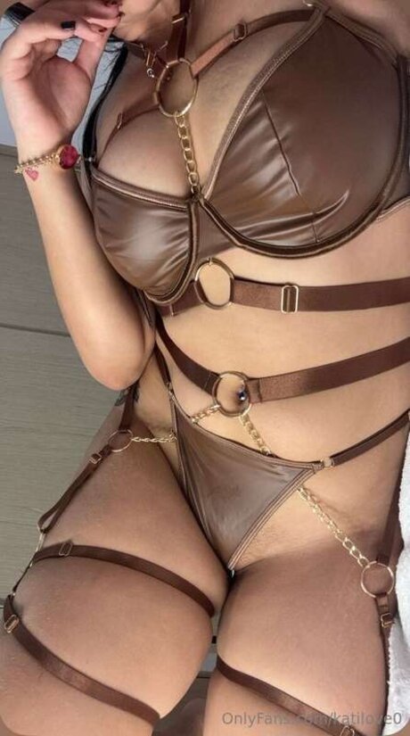 katilove0 high quality pornstar archive