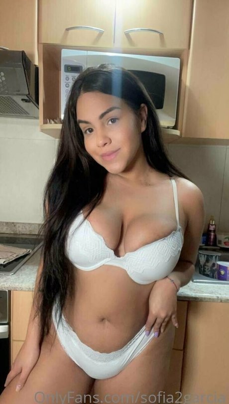 sofia2garcia nice star galleries