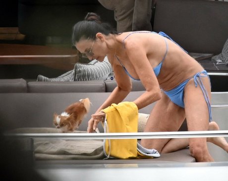 Demi Moore pornstar adult images