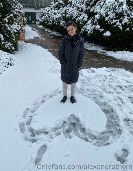 alexandrathorn art star picture