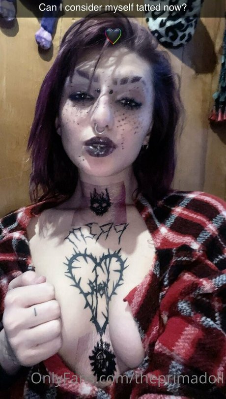 theprimadoll perfect model images