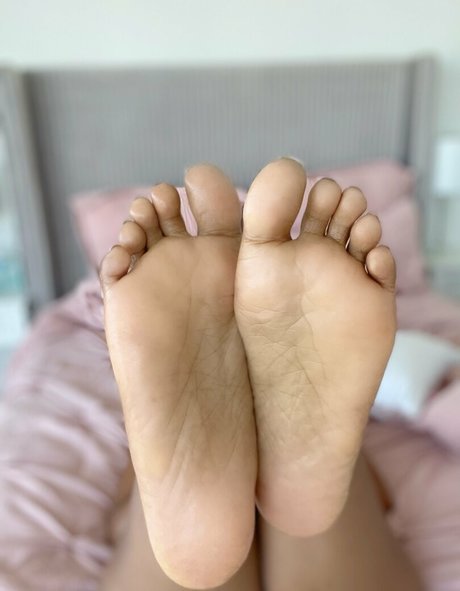 bbw solo onlyfans free image