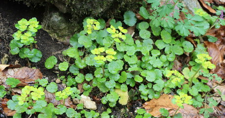 face onlyfans hot naked pics