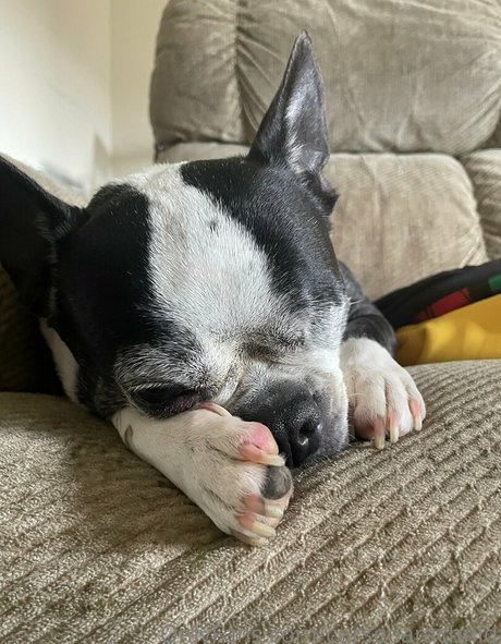 sex scene onlyfans hd image