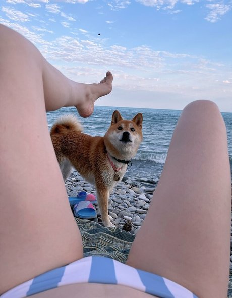 fart onlyfans hot xxx img