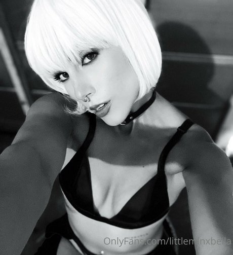 littleminxbella star hot archive
