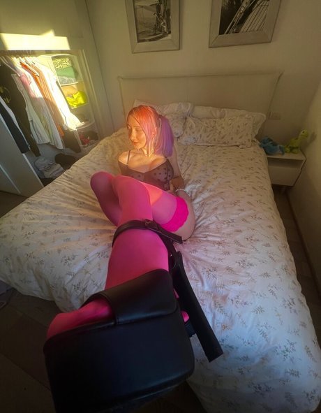 leliloo Photo Gallery