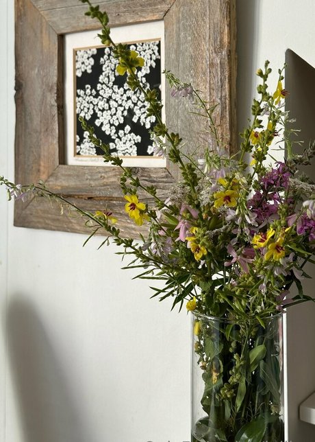 leliloo top actress pictures