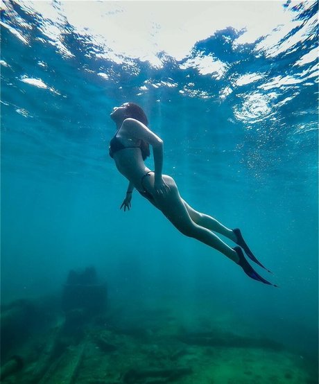 Sofia Santino star hd images