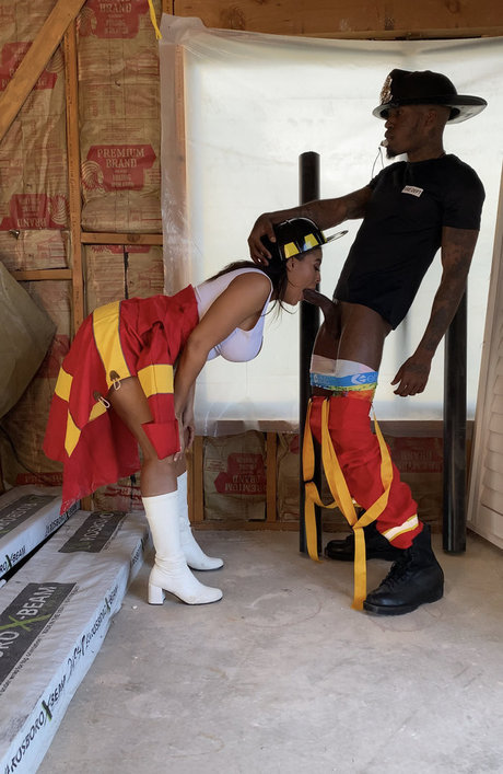 Freepressure hd star archive