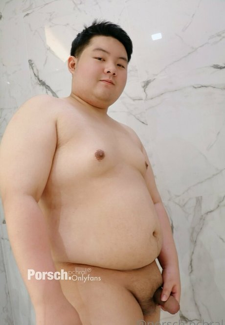 porsch pchral best star galleries