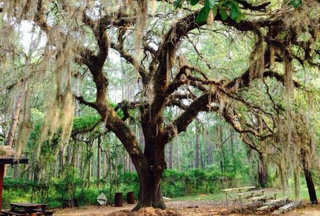 ukraine teen onlyfans beautiful naked pic