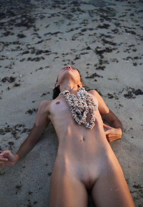 grilled avocadoz pornstar high quality image