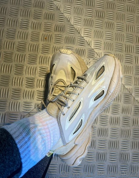 dsb2022 Photo Gallery