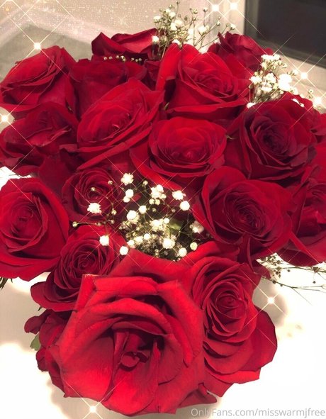 ebony trans onlyfans sexy photo