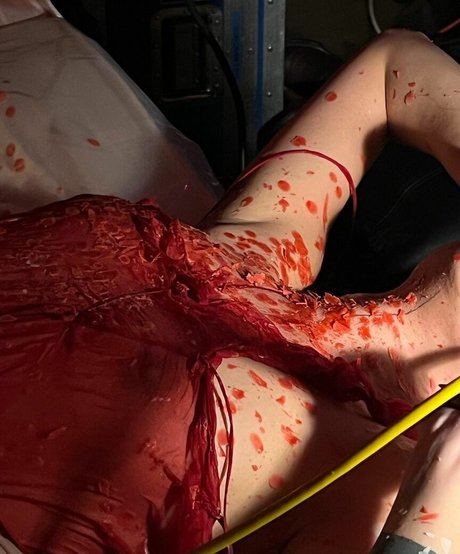 Dieu Linh Vuong sexy star photo