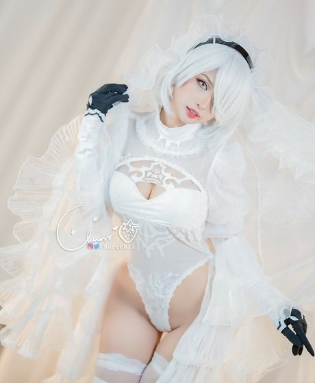 Charechii erotic model gallery