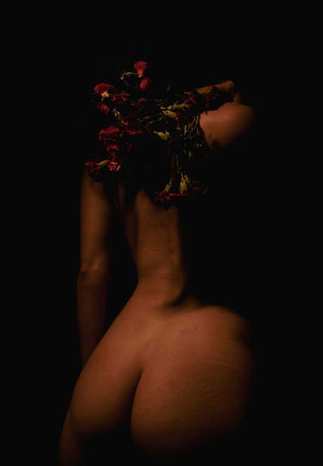 2024 top onlyfans free photo