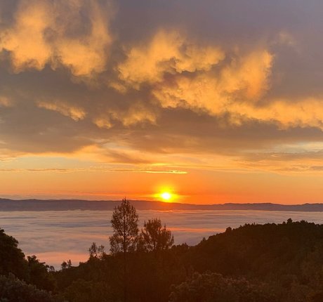 pov asian onlyfans pornographic galleries