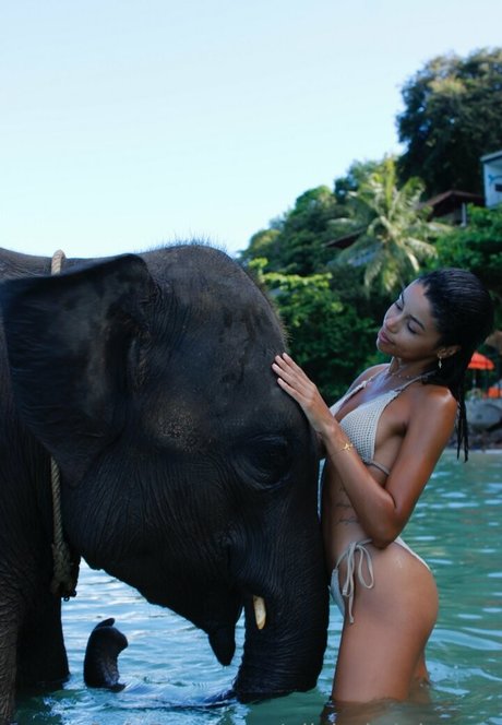 alishabright vip hd actress archive