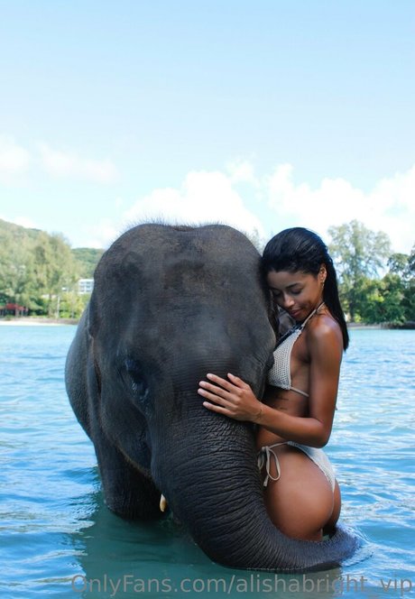 alishabright vip star nice galleries