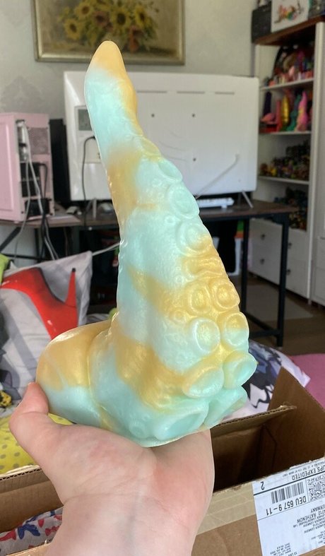 vinny bun star free photos