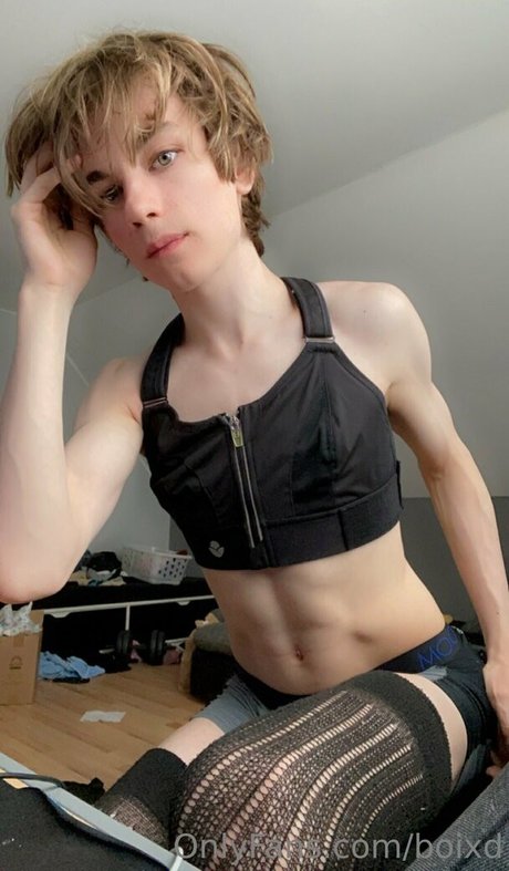 boixd pornographic star picture