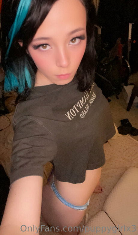 PuppyGirlX3 model art img