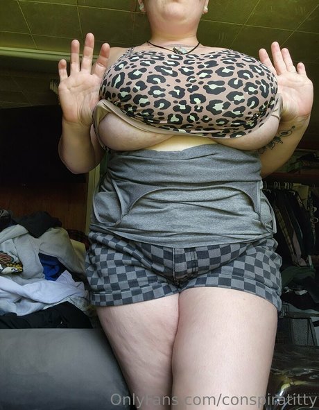 conspiratitty perfect model img