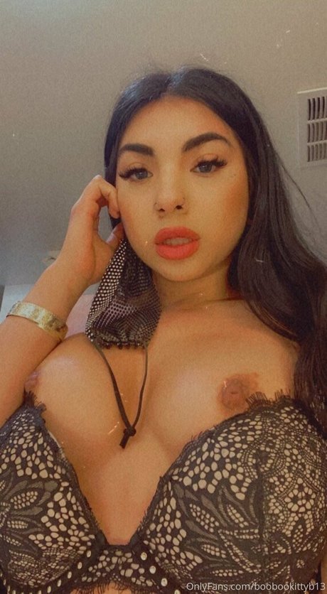 Boobookittyb13 star free picture