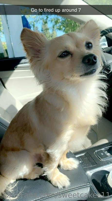 sweetcakes11 best actress img