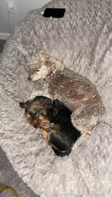 raven onlyfans free pic