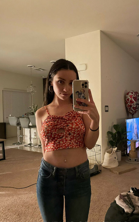 Lexipoll model photos