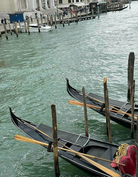 Wetfleur erotic model photos