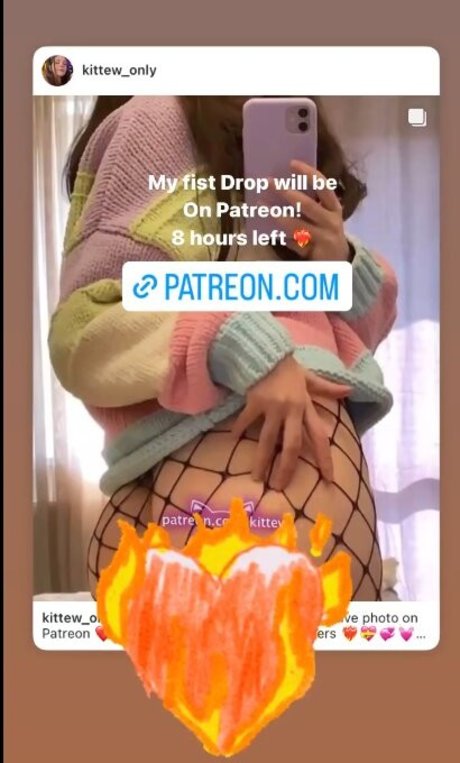 Kittew star perfect img