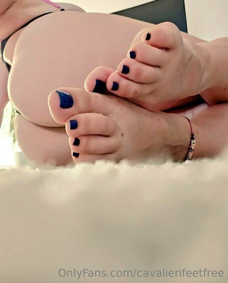 cavalierifeetfree model xxx images