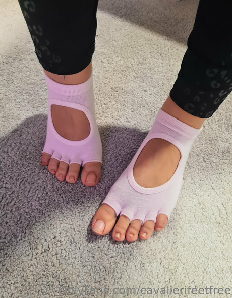 cavalierifeetfree star beautiful pics
