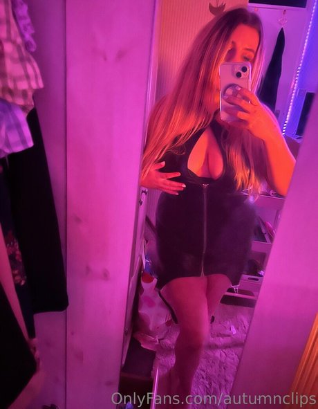 autumnclips high quality star picture