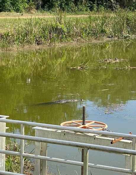 bbc ebony onlyfans free gallery